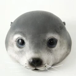 Zeehond Zwemmend Als Vijverdeco