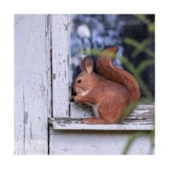 Rode Eekhoorn In Lindenhout - Handgemaakt -Bsi Verkoop 1611328813 3 600