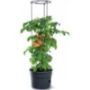 Tomaten Kweekpot Met Groeisteun - 12 Liter 2 Tomaten Kweekpot Met Groeisteun - 12 Liter -Bsi Verkoop 1649410567 1 600