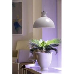 Voorkant 49 Groeilamp Led Florabooster 500 - 6,5W - Wit