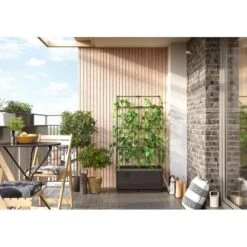 Kweekbak City Jungle Basic Met Klimframe -Bsi Verkoop 1677572003 1 600