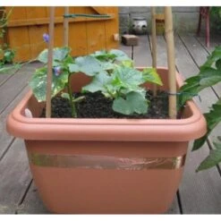 Anti-slakken Kopertape 4 M -Bsi Verkoop antislakken kopertape 1484052941 3 600