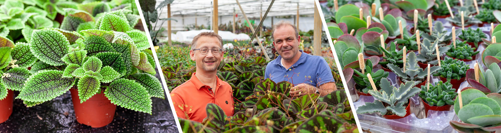 Voorkant -Bsi Verkoop banner446