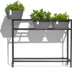 ECOPOTS Berlin Kruidentafel - Grijs 100 X 80 X 36 Cm -Bsi Verkoop ecopots berlin kruidentafel grijs 1600852112 2 600