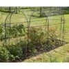 Fruitkooi Lang 3 × 1 × 1,5 M -Bsi Verkoop fruitkooi 3 x 1 x 15m 1484054956 1 600
