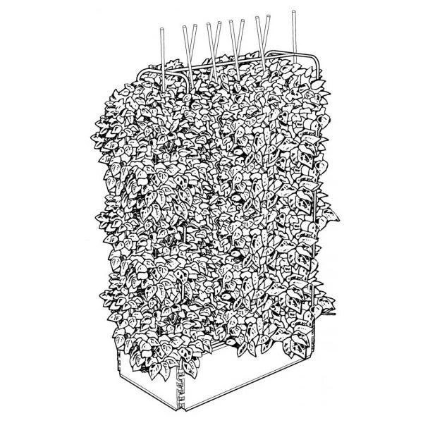 Groeibed 1 × 0,5 M Met Klimframe 4 Groeibed 1 × 0,5 M Met Klimframe - Afbeelding 2