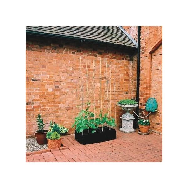 Groeibed 1 × 0,5 M Met Klimframe 6 Groeibed 1 × 0,5 M Met Klimframe - Afbeelding 4