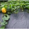 Gronddoek 2 × 10 M (90 G/m²) 1 Gronddoek 2 × 10 M (90 G/m²) -Bsi Verkoop gronddoek 2 x 10 m 100gm 1553160131 1 600