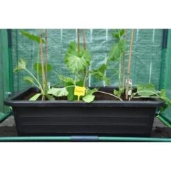 Kweekbak 40 Liter -Bsi Verkoop grote kweekbak 40 liter 1484056513 5 600