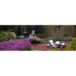 Heksenbollen Inox - Set Van 3 Stuks 11 Heksenbollen Inox - Set Van 3 Stuks -Bsi Verkoop heksenbollen inox 1484053750 5 600