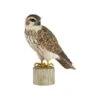 Houten Vogel - Smelleken -Bsi Verkoop houten smelleken 1613054629 1 600