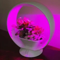 Mini Tuin Jardin Secret Met Verlichting En Bluetooth - Rond -Bsi Verkoop jardin secret met bluetooth rond 1602065218 3 600