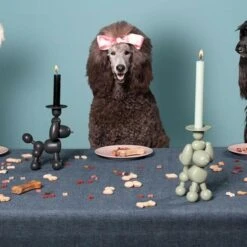 Kandelaar Fatboy® Can-Dolly - Design Antraciet -Bsi Verkoop kandelaar fatboy candolly antraciet 1622464523 2 600