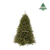 Kerstboom Forest Frosted 185 Cm Groen - Triumph Tree 1 Kerstboom Forest Frosted 185 Cm Groen - Triumph Tree -Bsi Verkoop kerstboom forest frosted 185 cm groen 1663571015 1 600