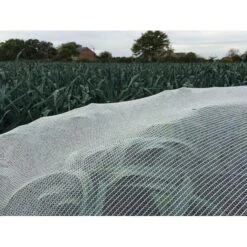 Insectengaas / Klimaatdoek 2 M × 10 M -Bsi Verkoop klimaatdoek multi 2 x 10 m 1484065545 1 600