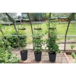 Tomatentoren 150 Cm Met Bewateringssysteem - Grijs 12 Tomatentoren 150 Cm Met Bewateringssysteem - Grijs -Bsi Verkoop klimplantentoren met bewateringssysteem 1519073384 5 600