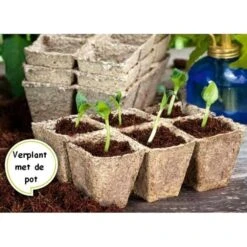 Vezelpotjes Vierkant Biologisch Afbreekbaar - 6 × 6 Cm - Set Van 24 Stuks -Bsi Verkoop kokos potjes vierkant 6 cm 1519297688 1 600