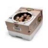Kweekset 7,5 Liter Bruine Champignons -Bsi Verkoop kweekset bruine champignons 1484067274 1 600