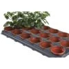 Tray Met 18 Ronde Kweekpotten 9 Cm 2 Tray Met 18 Ronde Kweekpotten 9 Cm -Bsi Verkoop kweektray 18 potten 9 cm 1484055982 1 600