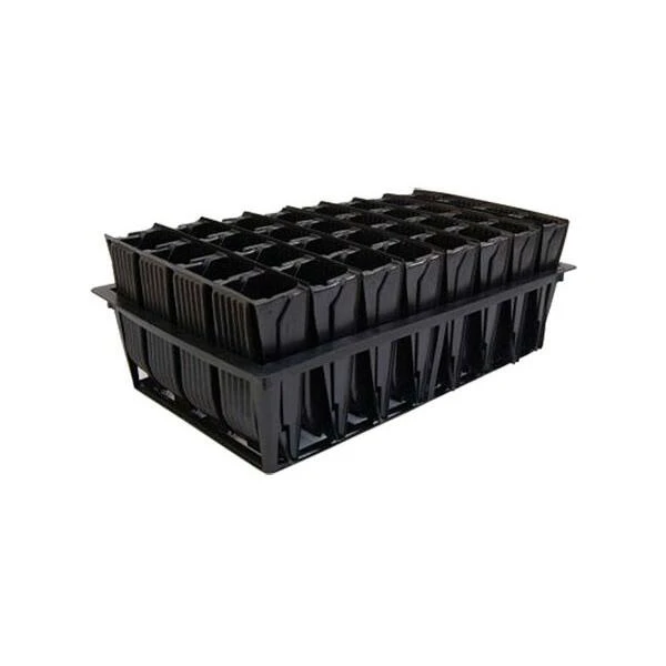 Kweektray Deep Roots - 32 Cellen 5 Kweektray Deep Roots - 32 Cellen - Afbeelding 3
