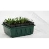 Kweektray Compact Rapid Root - 20 Cellen -Bsi Verkoop kweektray rapid root 20 cellen 1487670094 0 600