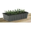 Kweektray Rapid Roots - 32 Cellen -Bsi Verkoop kweektray rapid roots 32 cellen 1487674841 0 600