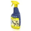 EDIALUX Mierenspray 1 Liter 1 EDIALUX Mierenspray 1 Liter -Bsi Verkoop mierenspray 1 l 1484056285 1 600