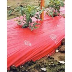 Rode Folie Voor Een Betere Plantengroei -Bsi Verkoop mulchfolie 1577621345 1 600