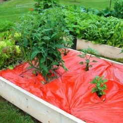 Rode Folie Voor Een Betere Plantengroei -Bsi Verkoop mulchfolie 1577621986 1 600