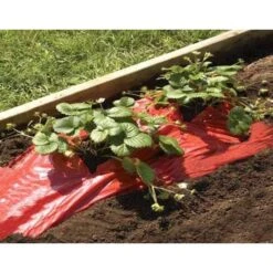 Rode Folie Voor Een Betere Plantengroei -Bsi Verkoop mulchfolie rood aardbeien en tomaten 1492072043 1 600
