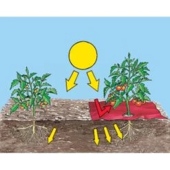 Rode Folie Voor Een Betere Plantengroei -Bsi Verkoop mulchfolie rood aardbeien en tomaten 1577620679 2 600