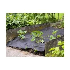 Mulchvlies - Aardbeifolie 1,5 M × 5 M 5 Mulchvlies - Aardbeifolie 1,5 M × 5 M -Bsi Verkoop mulchvlies 15 m x 5 m 1485338191 0 600