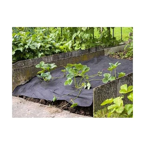 Mulchvlies - Aardbeifolie 1,5 M × 5 M 4 Mulchvlies - Aardbeifolie 1,5 M × 5 M - Afbeelding 2
