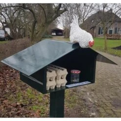 Nieuwsgierige Kip Tuinbeeld -Bsi Verkoop nieuwsgierige kip 1609930328 1 600