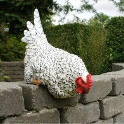 Nieuwsgierige Kip Tuinbeeld -Bsi Verkoop nieuwsgierige tafelkip 1568377839 3 600