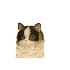 Prachtig Katje - Beeld 5 Prachtig Katje - Beeld -Bsi Verkoop perzische kat levensecht 1484056610 2 600