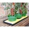 Plant- En Gietpot Groen - Set Van 3 Stuks -Bsi Verkoop plant en gietpot 1484054799 1 600