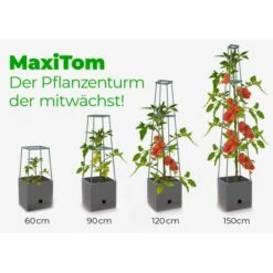 Plantentoren Maxitom Met Waterreservoir - Antraciet -Bsi Verkoop plantentoren maxitom antraciet 1677571236 4 600