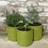 Plantzakken 5 Liter Vigoroot - Set Van 3 Stuks 1 Plantzakken 5 Liter Vigoroot - Set Van 3 Stuks -Bsi Verkoop plantzakken 5 liter vigoroot 1487757618 0 600
