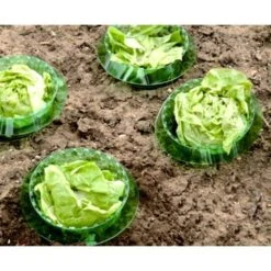 Slakken Beschermringen - Set Van 6 Stuks -Bsi Verkoop slakken beschermingsringen 1484053655 2 600