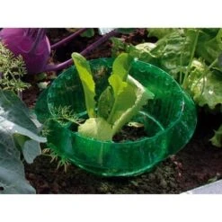 Slakken Beschermringen - Set Van 6 Stuks -Bsi Verkoop slakken beschermingsringen 1484053655 3 600