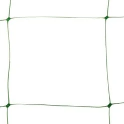 Klimgaas Erwten En Bonen 2m × 10 M -Bsi Verkoop steungaas klimgaas 2 x 10 meter 1484065488 1 600