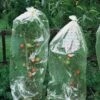 Tomatenhoezen 10 × 0,65 M 1 Tomatenhoezen 10 × 0,65 M -Bsi Verkoop tomatenhoezen 10 x 065 m 1484053065 1 600