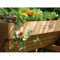 Vegtrug Verhoogde Kweektafel - 1 × 0,8 × 0,8 M 9 Vegtrug Verhoogde Kweektafel - 1 × 0,8 × 0,8 M -Bsi Verkoop vegtrug 1 m 1484054491 4 600
