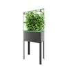Verhoogd Kweekbak City Jungle Heidelberg Met Klimframe 2 Verhoogd Kweekbak City Jungle Heidelberg Met Klimframe -Bsi Verkoop verhoogd plantenbed city jungle heidelberg 1677506551 1 600