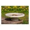 Vogelbad Op Voet 'Shenstone Theatre' Ø 44,5 Cm -Bsi Verkoop vogelbad shenstone theatre 1620809242 1 600