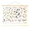 Wanddoek Tuinvogels -Bsi Verkoop wandkaart tuinvogels 1541511363 1 600