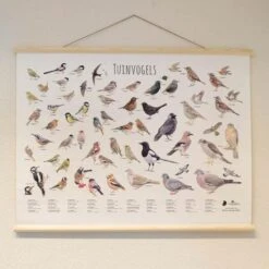 Wanddoek Tuinvogels -Bsi Verkoop wandkaart tuinvogels 1541600712 1 600
