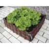 Wilgentenen Plantenbed - 60 × 60 × 20 Cm -Bsi Verkoop wilgentenen plantenbed large 1484056225 1 600